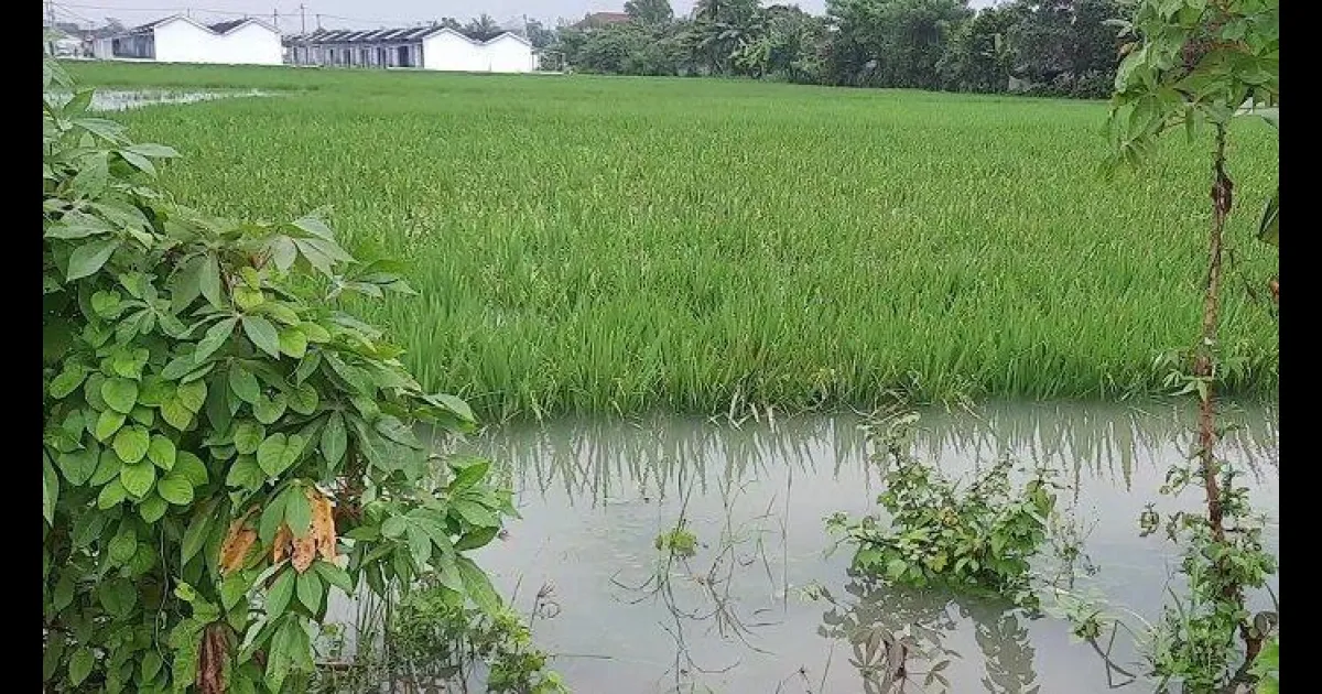berita desa WANAJAYA